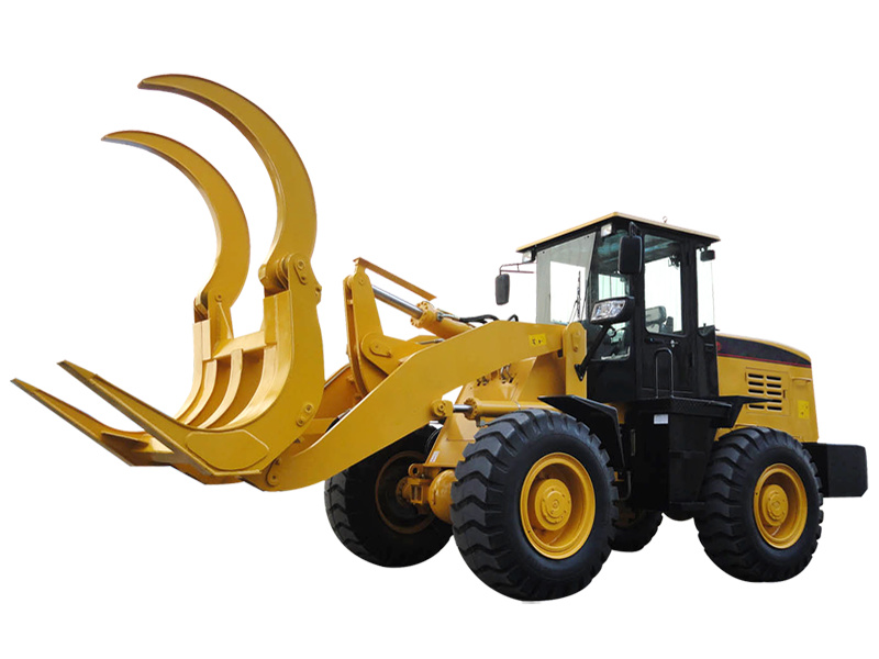 Multifunctional loaders