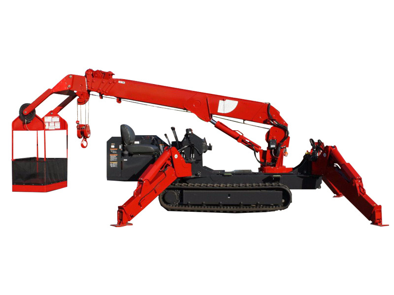 Mini crawler crane